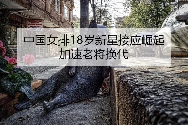 中国女排18岁新星接应崛起 加速老将换代