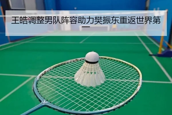王皓调整男队阵容助力樊振东重返世界第一